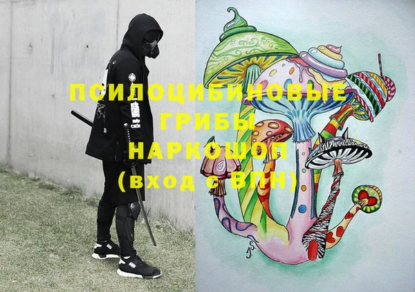 круглые Алзамай