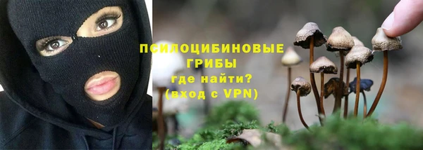 круглые Алзамай