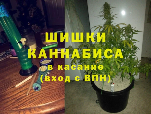 круглые Алзамай