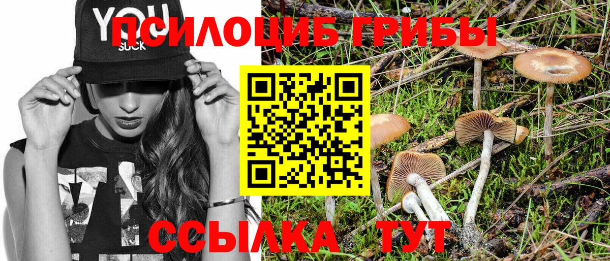 Лобня  Псилоцибиновые грибы MAGIC MUSHROOMS  Псилоцибиновые грибы Psilocybe  Вход с VPN 